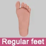 Regulär