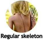 Normale Skelett