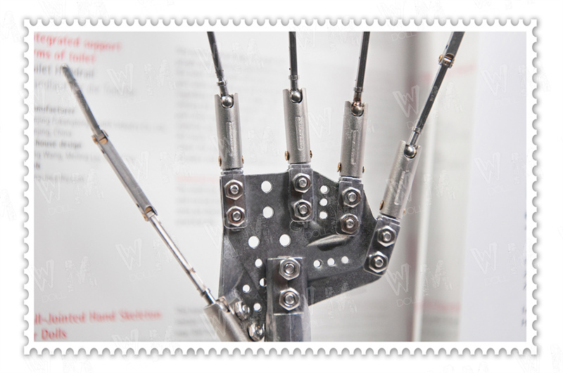 love dolls 3.0 vs 2.0 hand Skelett